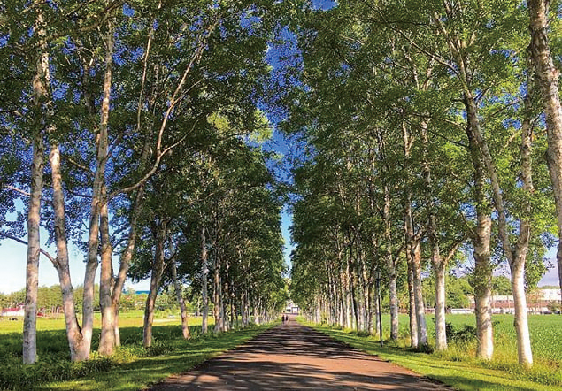 酪農学園大学